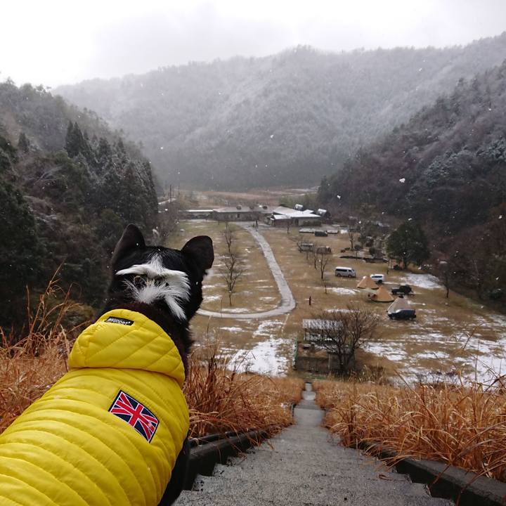 D8f84f5d 4108 405e 8e7b 652b117cdc04 1514952632337