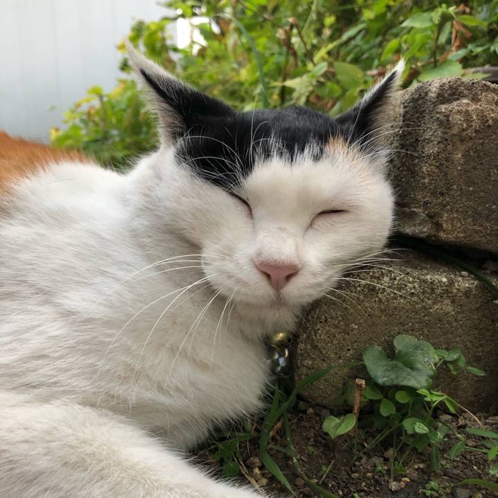 D8f8597f c81b 44a9 a2dd dd4935c04315 1605738746446