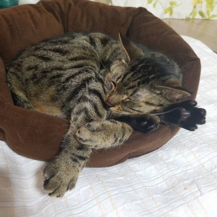 D8f85d8b 400b 4780 a61a 8bc91e9b949a 1586000154430