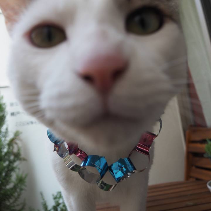 D8f8a79e 74eb 4aae a24b 595c53681eec 1528524654547