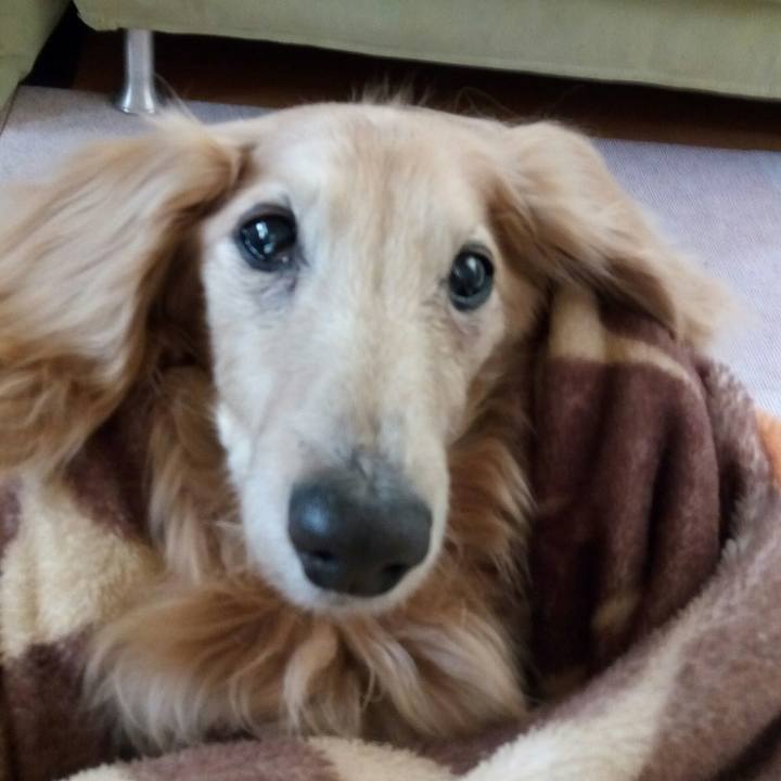 D8f8d172 a2b7 417d 82f6 f99afda32fba 1557798380758