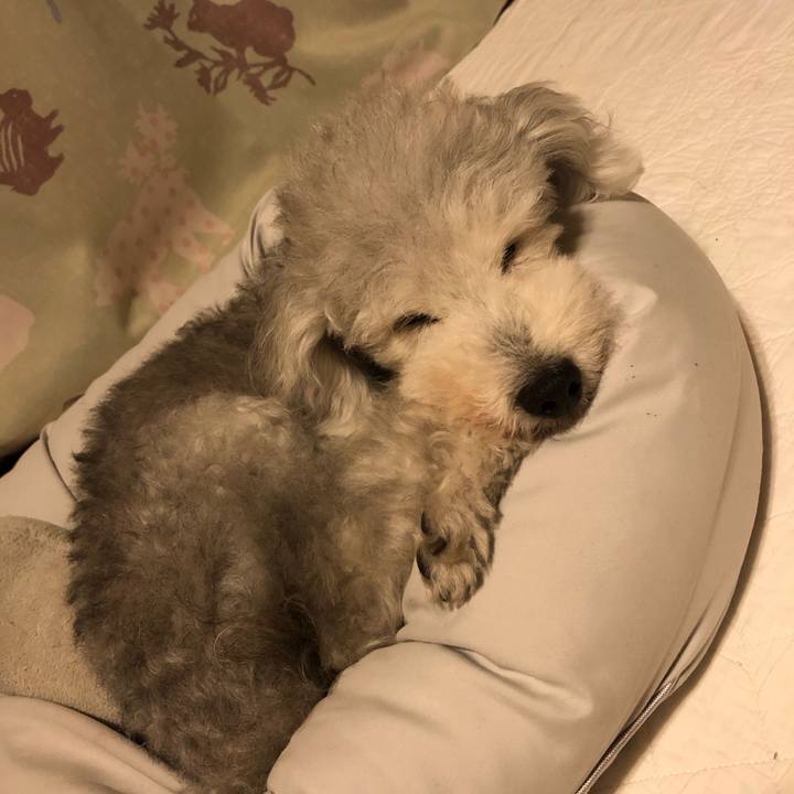 D8f90c10 0df0 44fb bec0 9cbb46a599e5 1629291078743