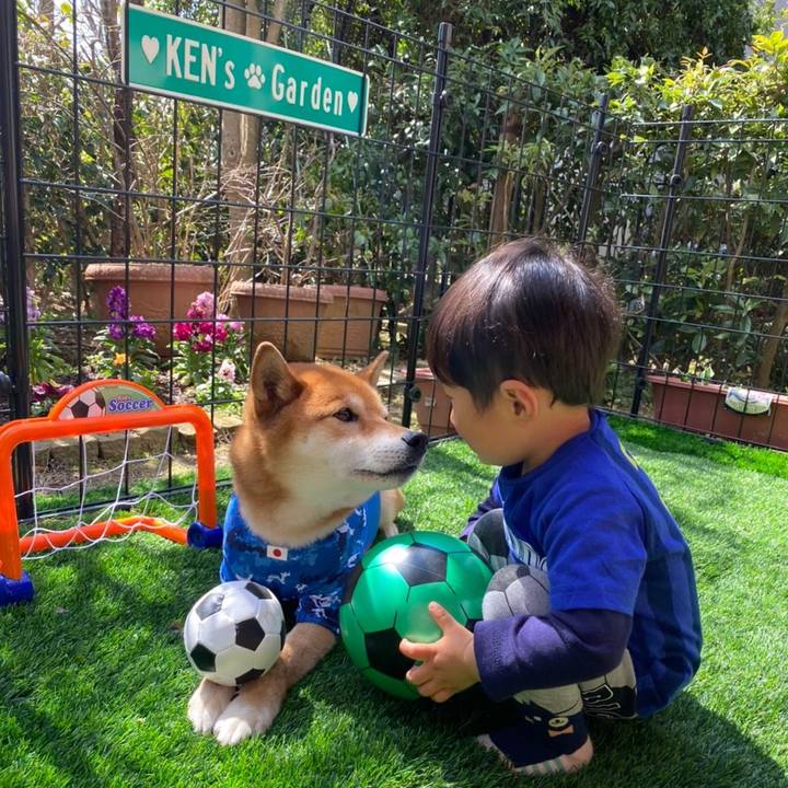 D8f91bf5 c754 474d 8903 f73cd865de5a 1584009575868