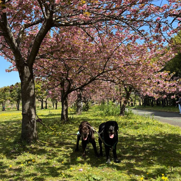 D8f982ae 2d86 4fa1 be50 981a5c03b65b 1776165908899