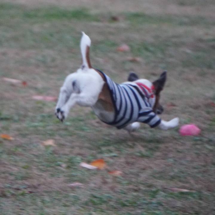 D8f99bde 29a1 415b addb bae32ff668cd 1606346501068