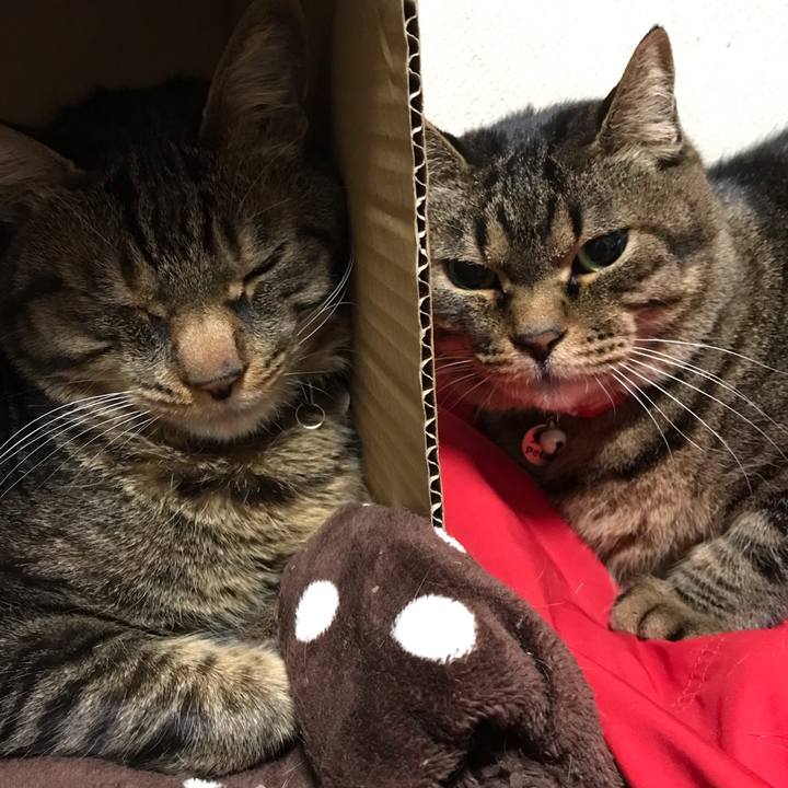 D8f9de5a 3588 4013 a379 052c1329a542 1650975093889