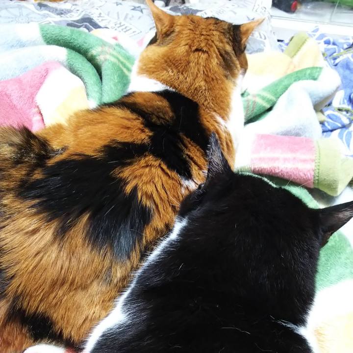 D8f9e5ab 0941 4d3a 8866 ce62ea07d29b 1571229287081