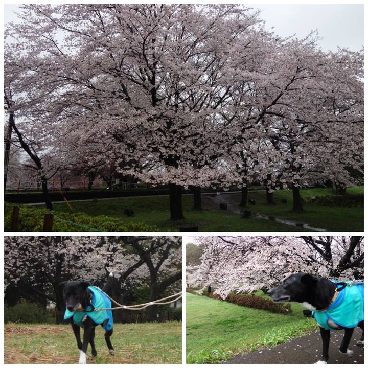 D8f9e899 048f 4766 a5bd 3abf07696265 1679704876803