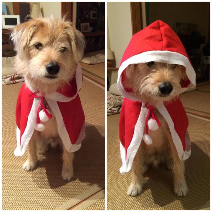 D8f9e8f4 39f3 4b07 b083 3ef852b32263 1639970259013