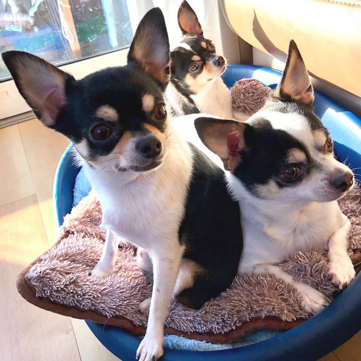 D8fa0474 140e 42ad b318 0ed4d6fd227e 1512859760106