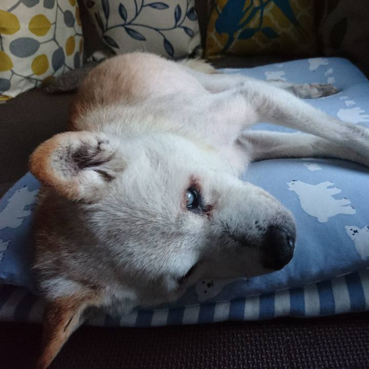 D8fa1dc5 33b4 4dbd 9002 2712c592cebf 1530561932378