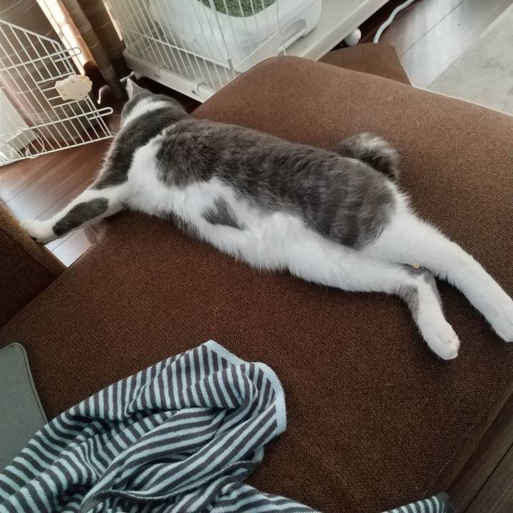 D8fa4ca7 21c7 4748 aa8b 4867595f9240 1605330679997