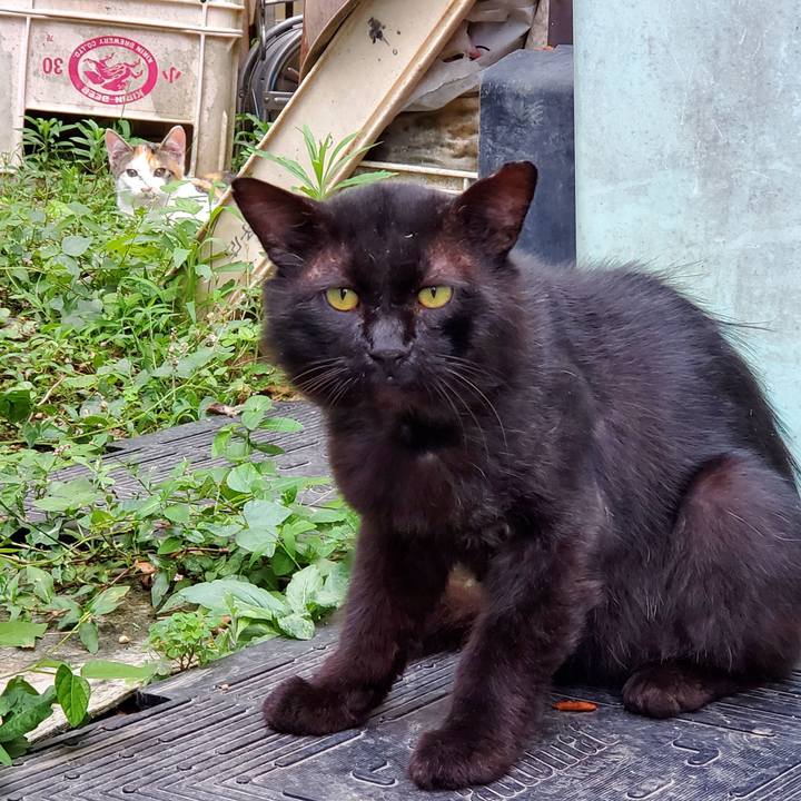 D8fa8a1b 5cf7 4c9a 9afa 407afb6fd7ec 1688892048409