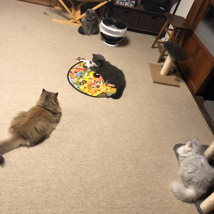 D8fa8ebf df2a 41a5 9cce d1cacd88dcc1 1602243475992