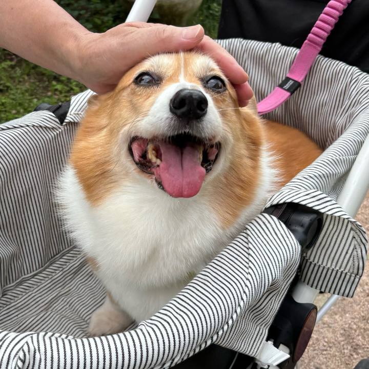 D8fac357 285a 47fe a495 1136778cb5fa 1749867445350