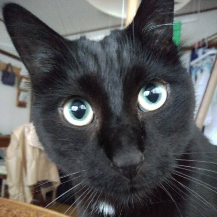 D8fad76f d309 49c2 bbbf b9c1f570ceba 1589074130833