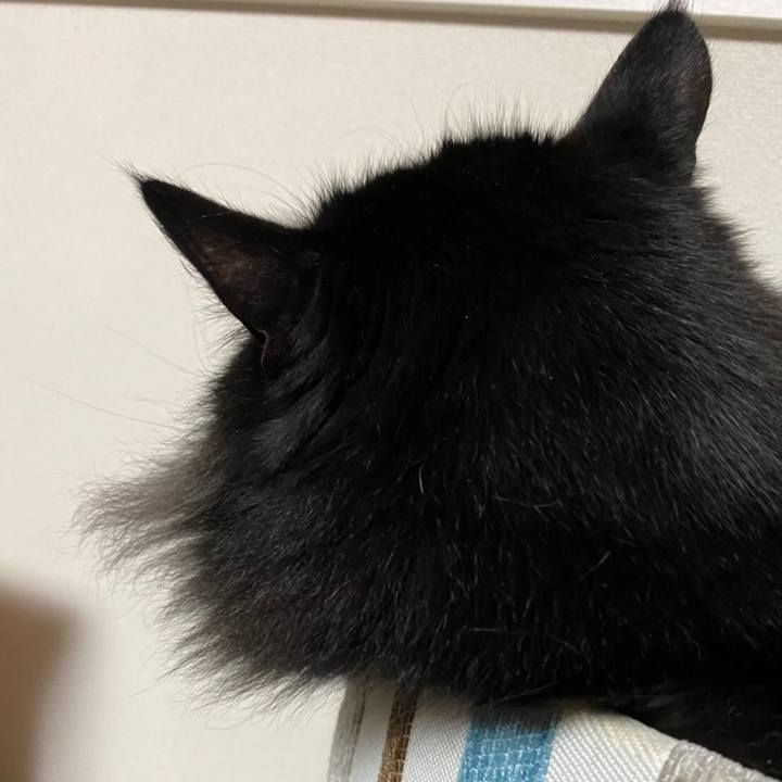 D8fae57e 6422 46ab 9091 c862d2c08ca7 1581683539372