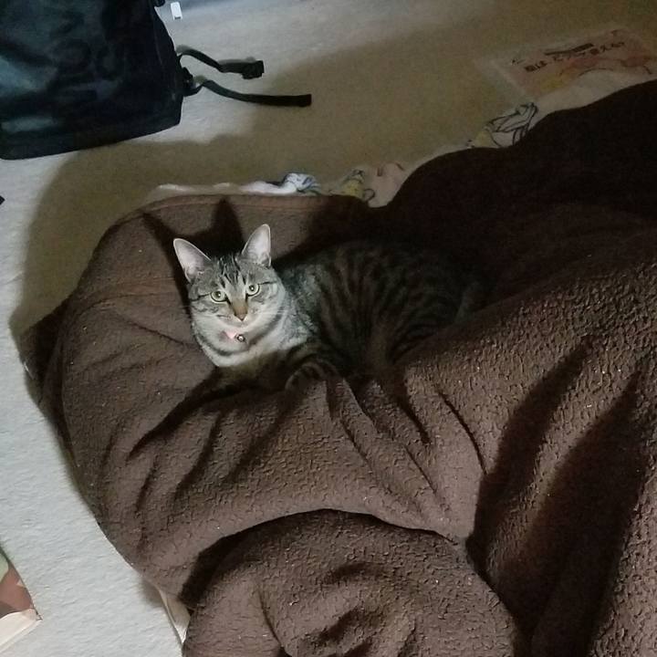 D8fb288b 95ae 4c44 a9a3 b7d5bf97ddd4 1685769669036