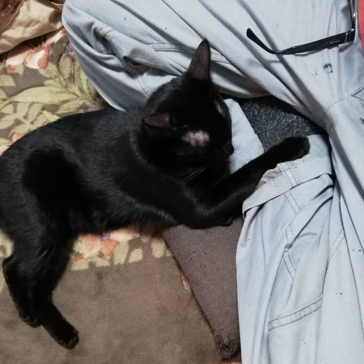 D8fb45f9 cb04 41b8 a011 72856d9603b5 1604443540832