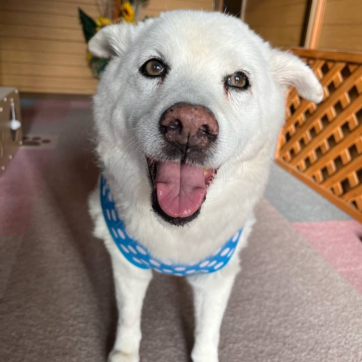 D8fb4dfb 0d58 49c1 97b9 e9a1f9af4c1e 1760397838348