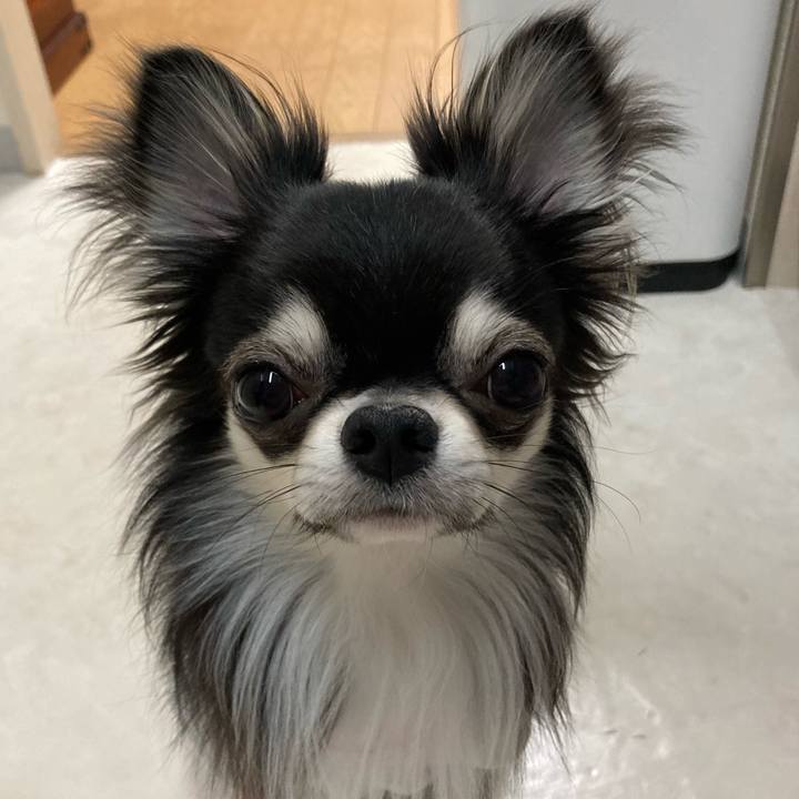 D8fba0e9 18ba 466f 94f1 57ca20cc8fbc 1616298685977