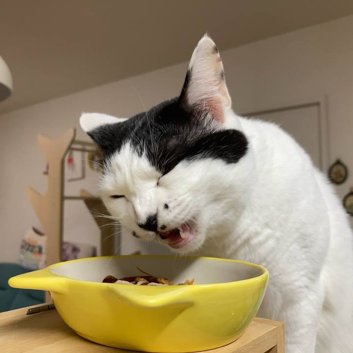 D8fbf6d4 5ec2 4ab0 b982 4df31f7dcff3 1760215151322