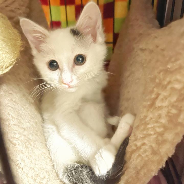 D8fc3298 77ef 4316 a051 bb4b0d6da408 1668236630729