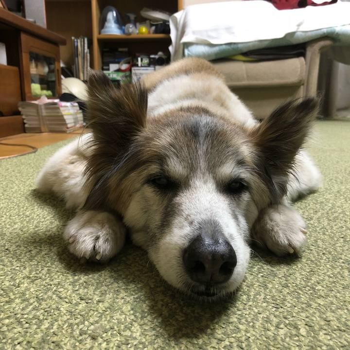 D8fc38a6 3142 4523 829f 846b7af62af6 1525088683719