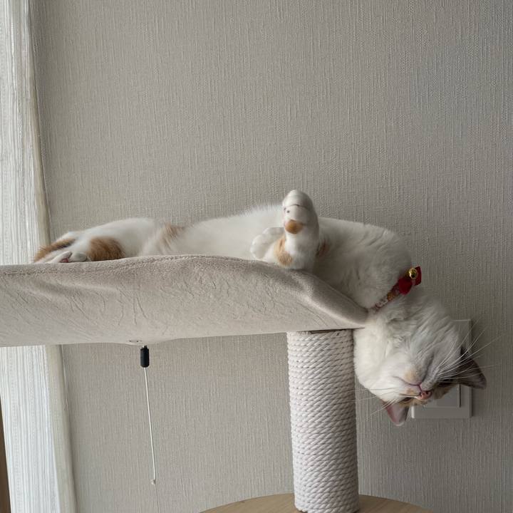 D8fc622f 26fa 4001 a4dc 6536a2bb82cc 1616110539993