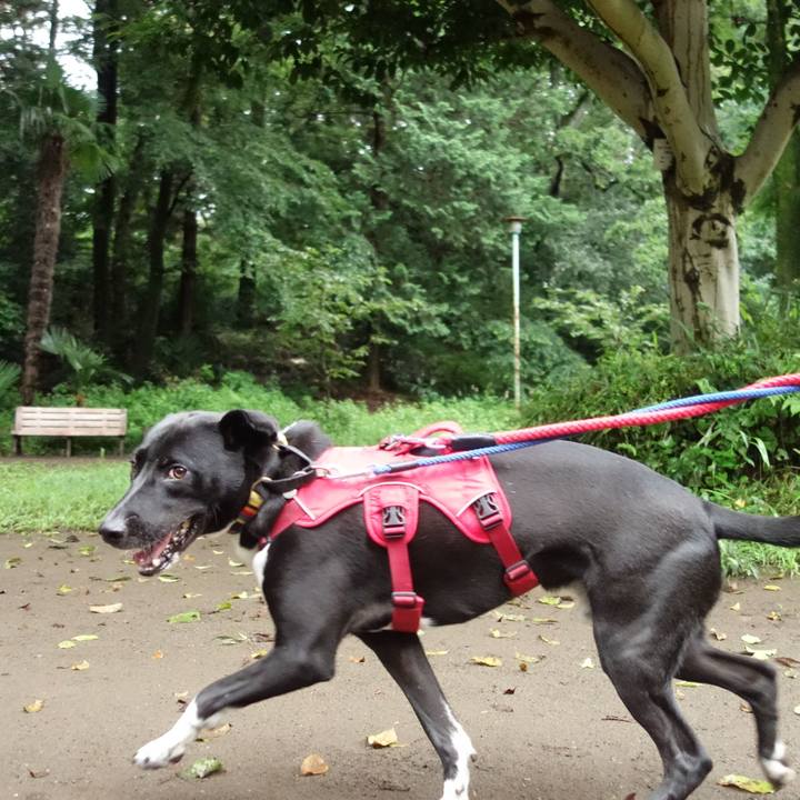 D8fc64a8 6e14 4a7c b755 f4a79aef32b4 1595980104878