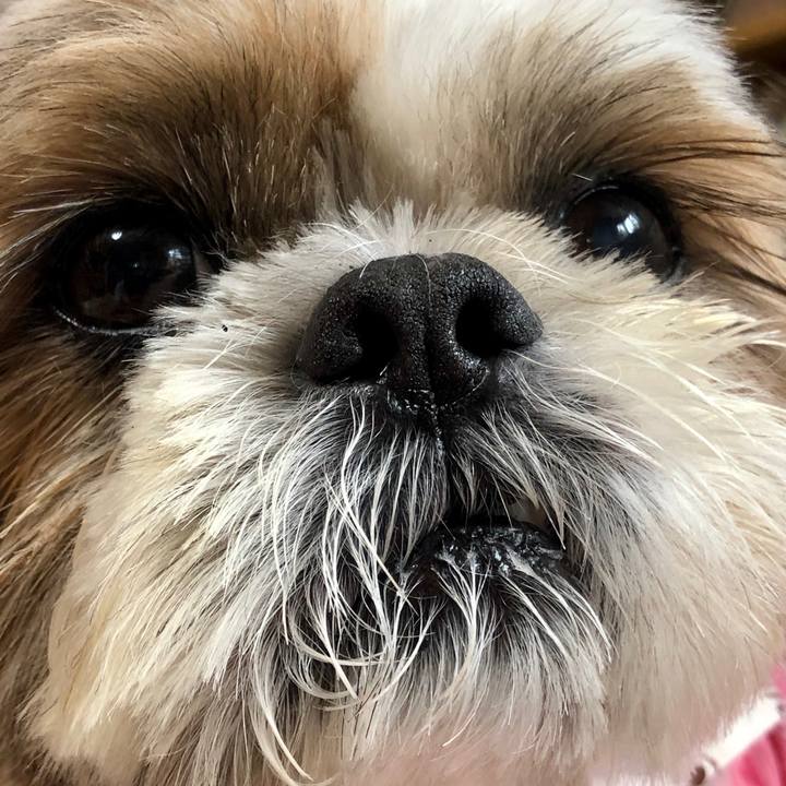 D8fcd739 0d6a 407b 905c 2904cc889f5e 1563079481421