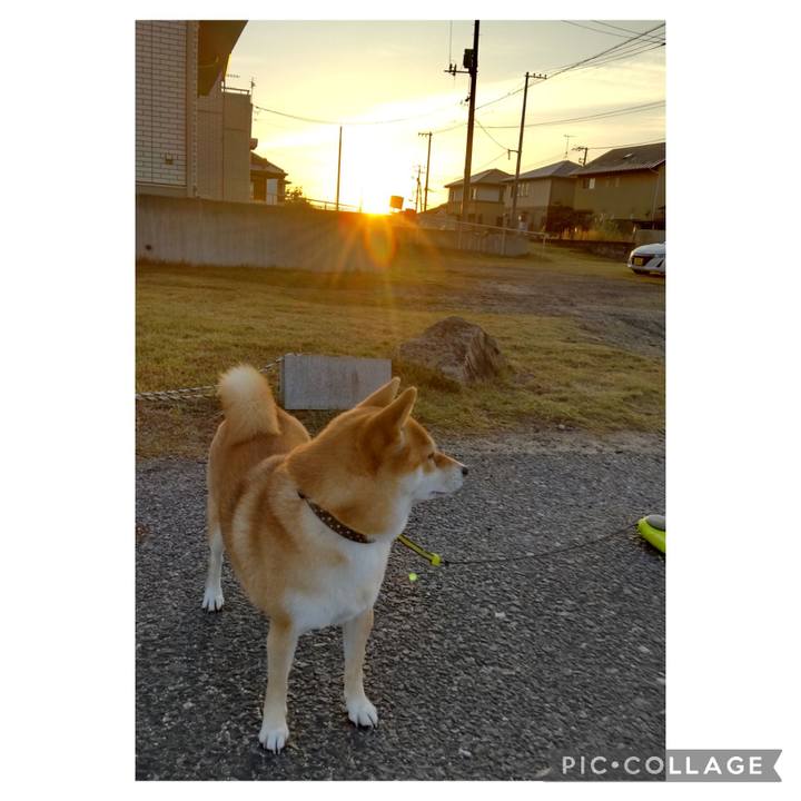 D8fcdb82 9697 499a 9e35 648caf570941 1697065517702