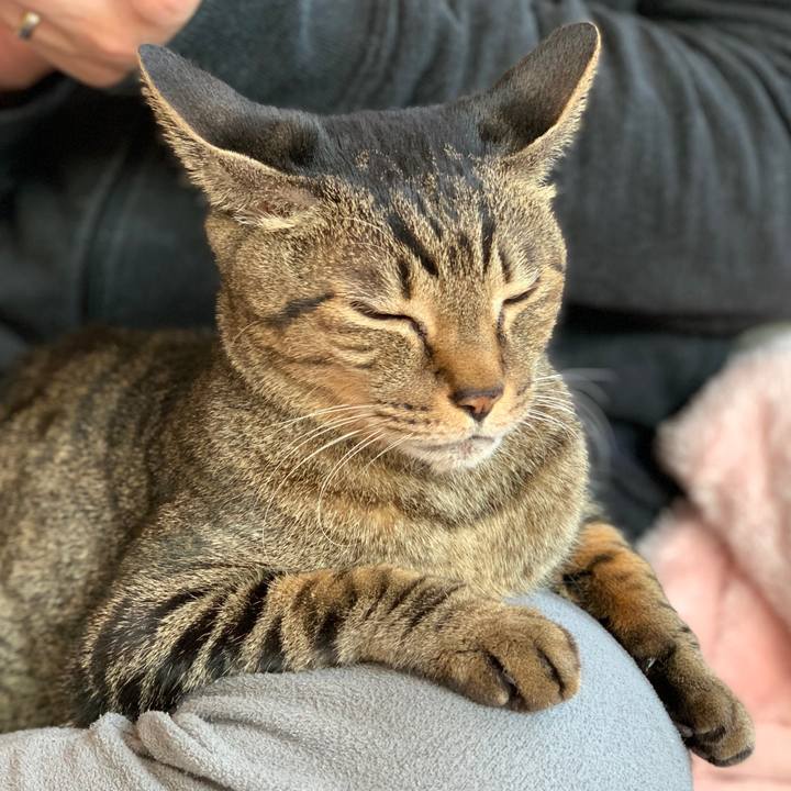 D8fce57e d419 42ba acf6 d2d86a6bb3fd 1582852274633