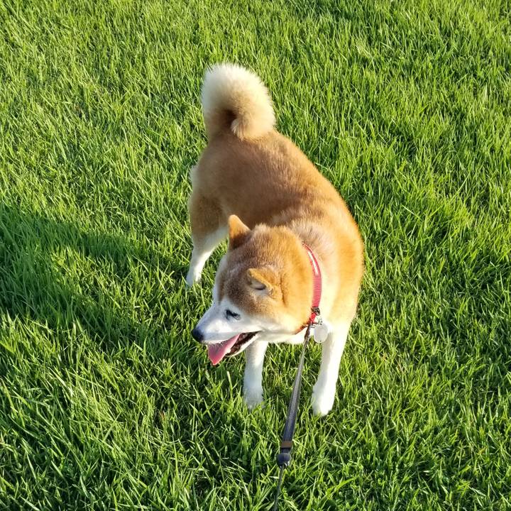 D8fd458b 0593 4fe5 b14a 1b339f8f6741 1725610140058