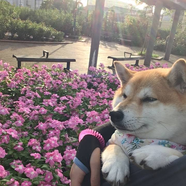 D8fd4c78 2d75 429f 9aa8 45f76c70d015 1566340604587