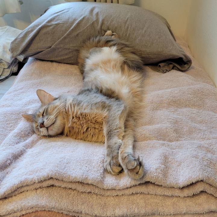 D8fd5157 731b 4ba0 a9d6 72d990a21568 1633609424929