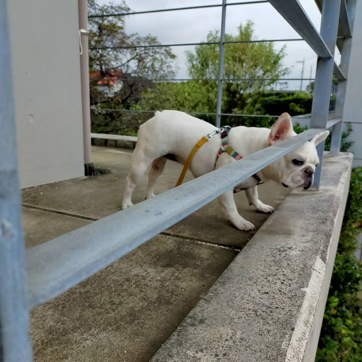 D8fd515a 305e 43c8 b3a5 89feb76d2acd 1663713757041