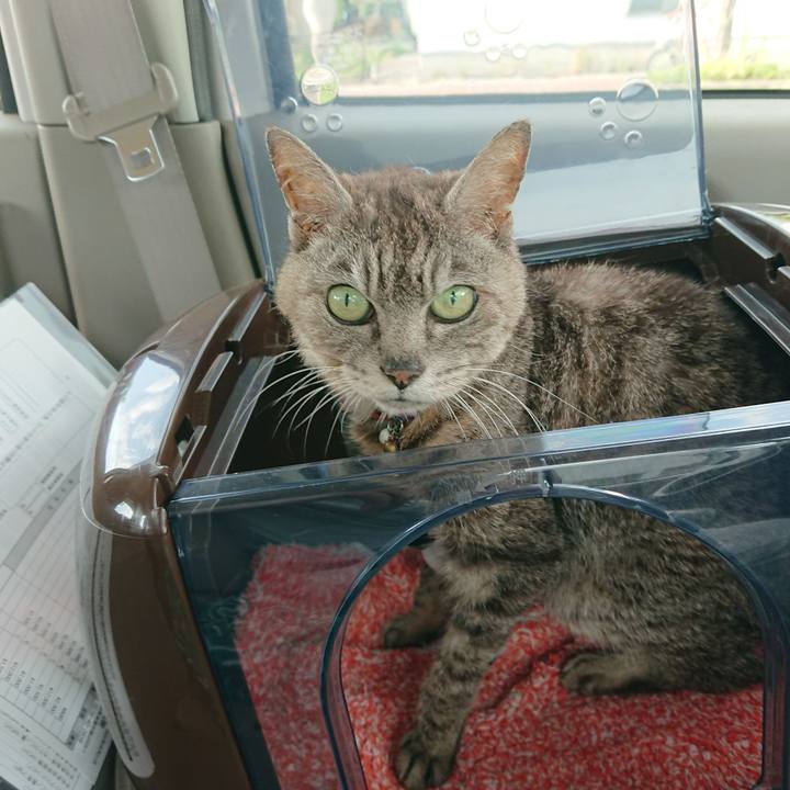 D8fd530f 6ec9 4a85 9a1f 09378a0e4399 1597995392144