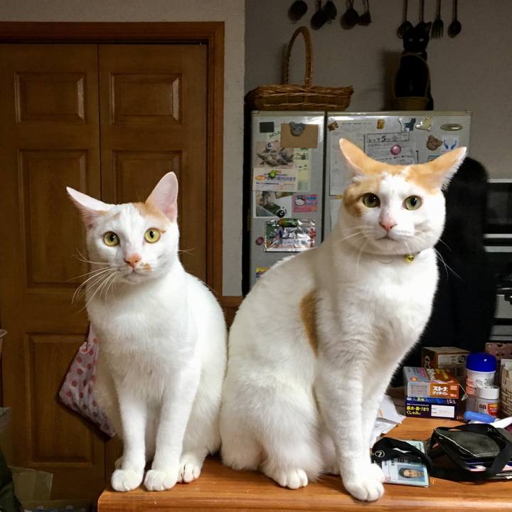 D8fd6471 51d5 4b09 8396 ba26372815bc 1518096224492