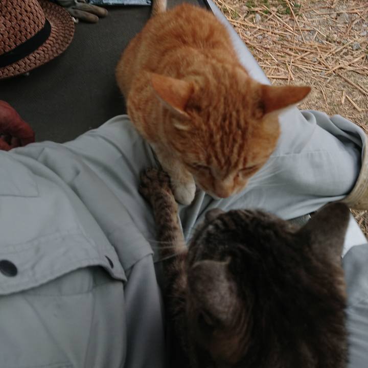 D8fd6ac0 6dea 4897 9931 104f9f25ecdc 1592817184698