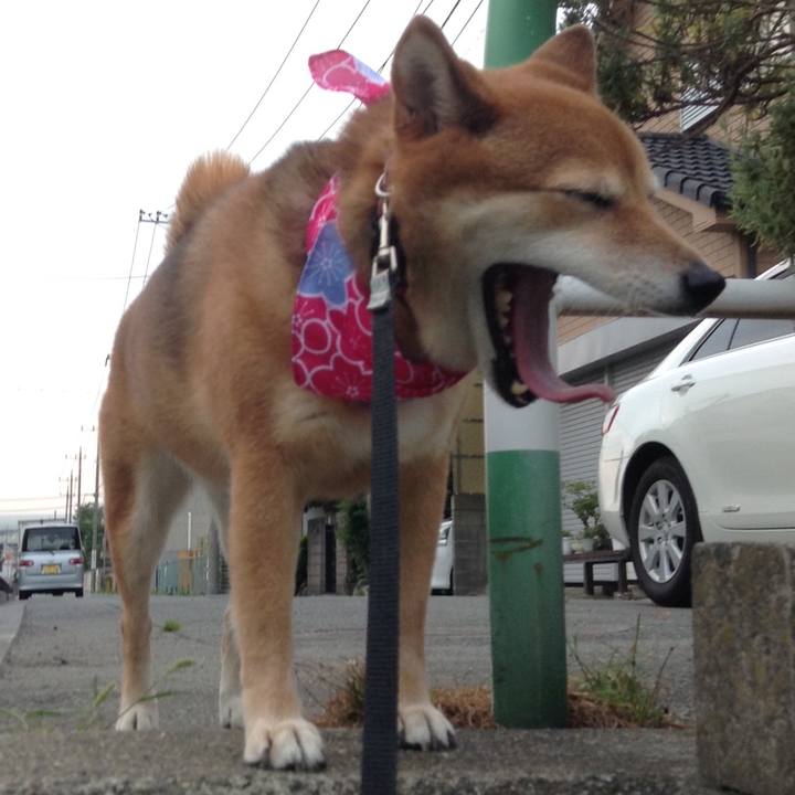 D8fda310 edb6 433c 9774 ab6233756d1b 1533200248960