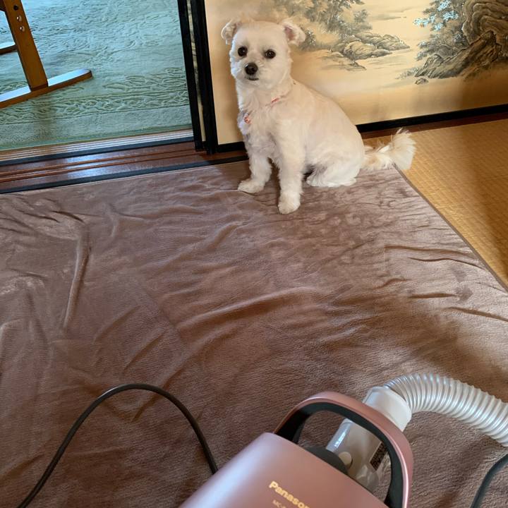 D8fdfdc9 65a1 4a64 9df3 ca15b6cc4c9a 1584583630991