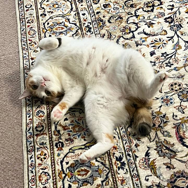 D8fe089b 551a 4229 916c cd14a55b55ae 1761686445238