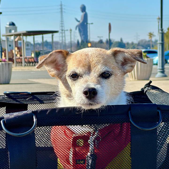 D8fe27ae 875c 4409 a0c4 d86f9c2f0f14 1674981630789