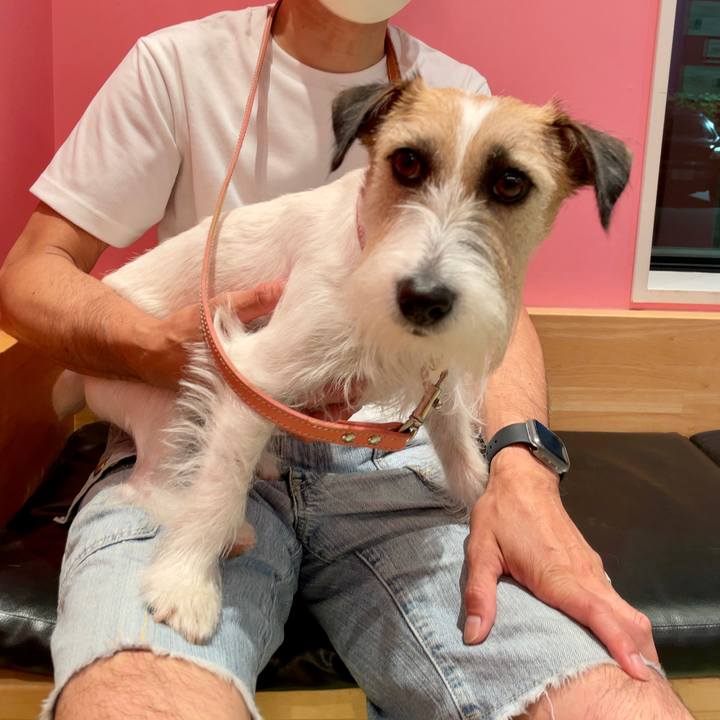 D8fe5d5c dd44 438d aa3a 97985823bf9c 1687790517466