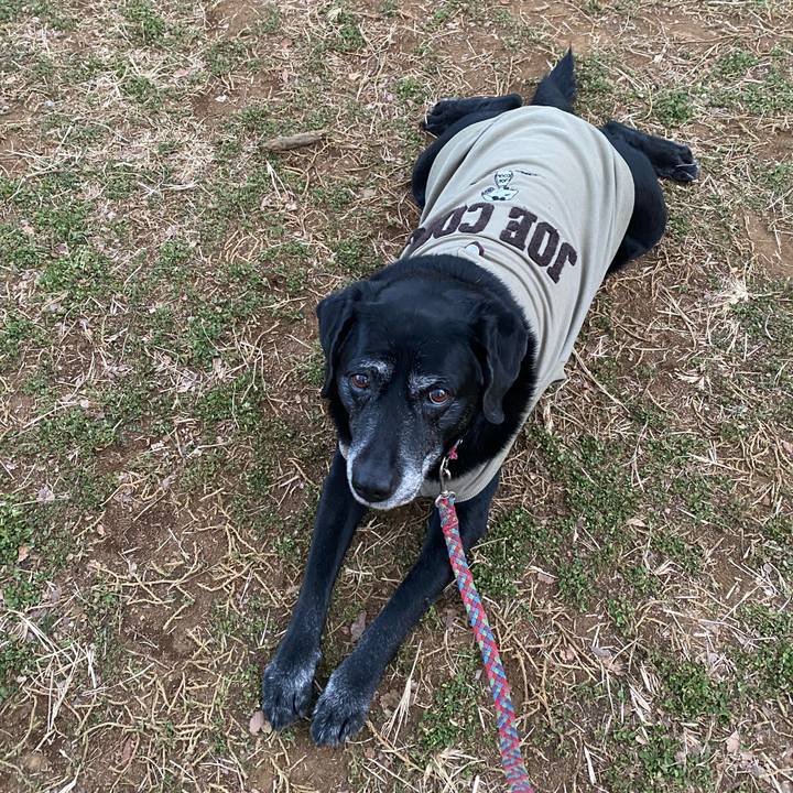 D8fe758f 3086 4af9 9998 b1c8c6672ed3 1646295683581