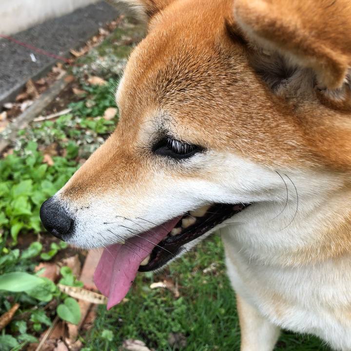 D8fe89ef c717 488c 8c56 d7a4d0095143 1588502639069