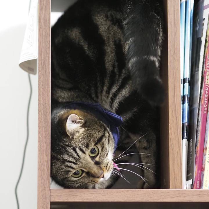 D8fe8de3 be15 4110 9f77 88d454e78e24 1614520048944