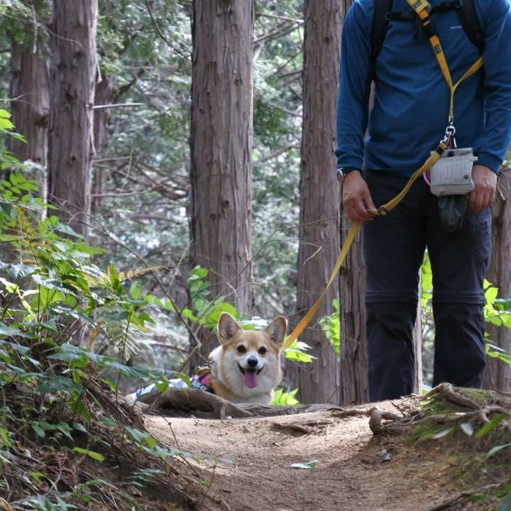 D8fe9d71 746e 44ed b269 519c875f1db4 1716727600923