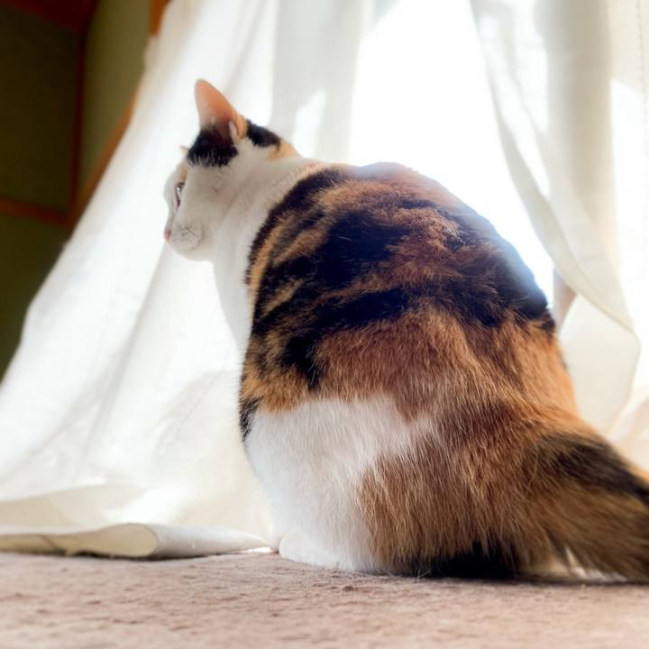 D8fec8a7 648f 4d80 895f 42a483c5110e 1582505323166